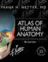 Atlas of Human Anatomy — Frank Netter